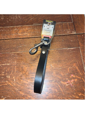 Aspen Pet Deluxe Medium Black Leather Dog Leash with Silver Hardware